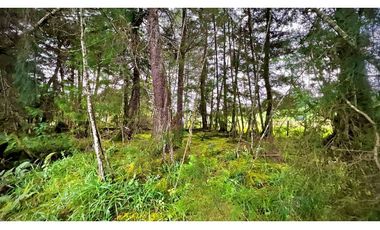 Venta Espectacular Lote Alto Palmas 100% plano Envigado