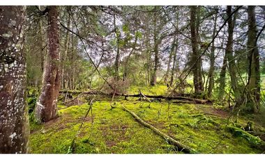 Venta Espectacular Lote Alto Palmas 100% plano Envigado