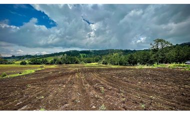 Venta Espectacular Lote Alto Palmas 100% plano Envigado