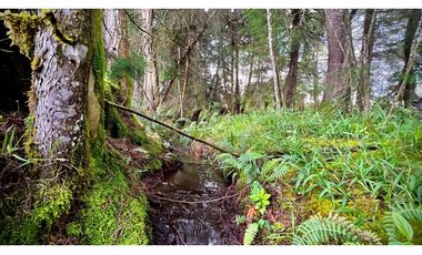 Venta Espectacular Lote Alto Palmas 100% plano Envigado