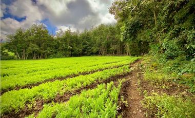 Venta Espectacular Lote Alto Palmas 100% plano Envigado