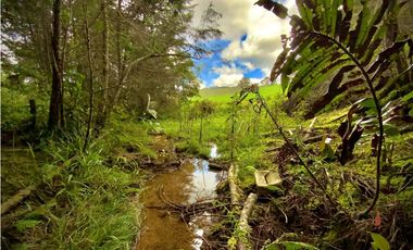 Venta Espectacular Lote Alto Palmas 100% plano Envigado