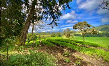 Venta Espectacular Lote Alto Palmas 100% plano Envigado