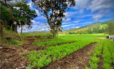 Venta Espectacular Lote Alto Palmas 100% plano Envigado