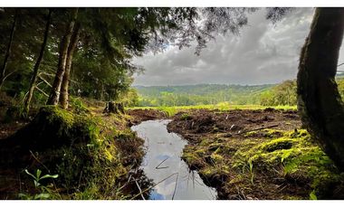 Venta Espectacular Lote Alto Palmas 100% plano Envigado