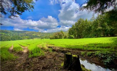 Venta Espectacular Lote Alto Palmas 100% plano Envigado