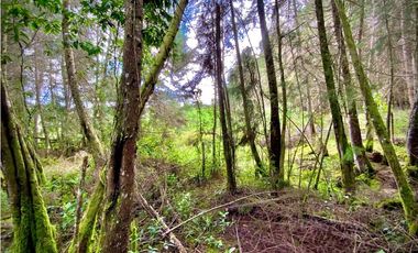 Venta Espectacular Lote Alto Palmas 100% plano Envigado