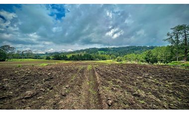 Venta Espectacular Lote Alto Palmas 100% plano Envigado