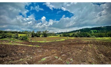 Venta Espectacular Lote Alto Palmas 100% plano Envigado