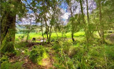 Venta Espectacular Lote Alto Palmas 100% plano Envigado