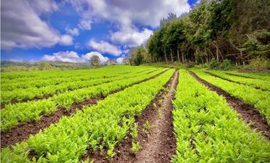 Venta Espectacular Lote Alto Palmas 100% plano Envigado