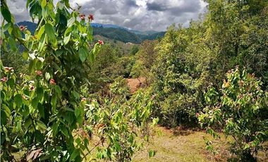 Venta Lote Parcelacion VISTA REPRESA (Retiro)