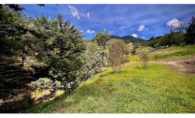 OPORTUNIDAD Venta Lote Todos Los Servicios Parcelacion La Ceja