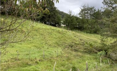 OPORTUNIDAD Venta Lote Todos Los Servicios Parcelacion La Ceja