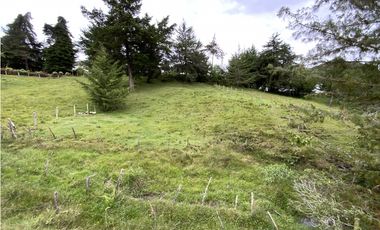 OPORTUNIDAD Venta Lote Todos Los Servicios Parcelacion La Ceja