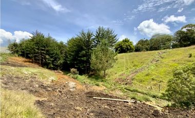 OPORTUNIDAD Venta Lote Todos Los Servicios Parcelacion La Ceja