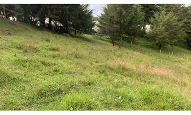 OPORTUNIDAD Venta Lote Todos Los Servicios Parcelacion La Ceja