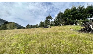 OPORTUNIDAD Venta Lote Todos Los Servicios Parcelacion La Ceja