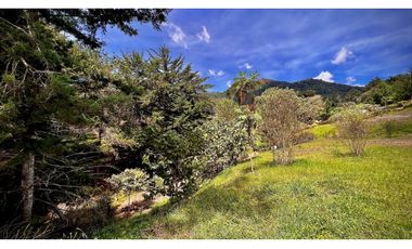 OPORTUNIDAD Venta Lote Todos Los Servicios Parcelacion La Ceja