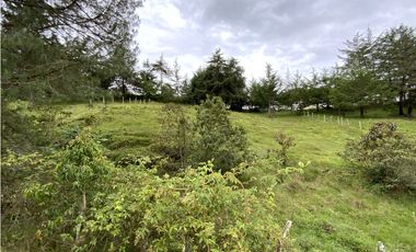 OPORTUNIDAD Venta Lote Todos Los Servicios Parcelacion La Ceja