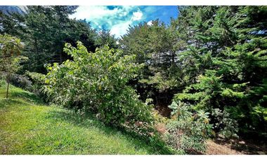 OPORTUNIDAD Venta Lote Todos Los Servicios Parcelacion La Ceja