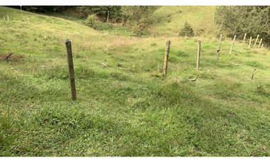 OPORTUNIDAD Venta Lote Todos Los Servicios Parcelacion La Ceja