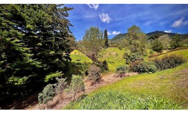 OPORTUNIDAD Venta Lote Todos Los Servicios Parcelacion La Ceja