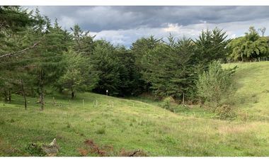 OPORTUNIDAD Venta Lote Todos Los Servicios Parcelacion La Ceja