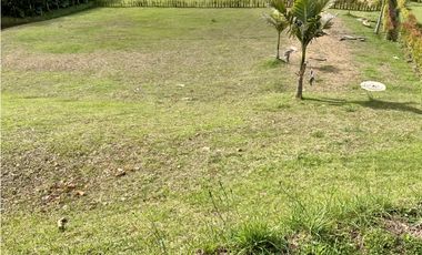 Venta Lote Exclusiva Parcelacion Llanogrande