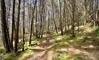 Venta Finca para Parcelar Uso Comercial Ubicacion Premium El Retiro