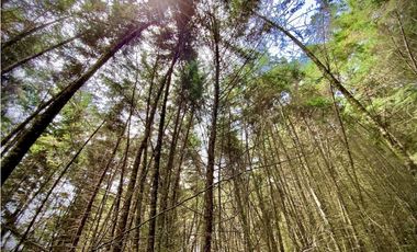 Venta Finca para Parcelar Uso Comercial Ubicacion Premium El Retiro