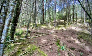 Venta Finca para Parcelar Uso Comercial Ubicacion Premium El Retiro