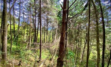 Venta Finca para Parcelar Uso Comercial Ubicacion Premium El Retiro