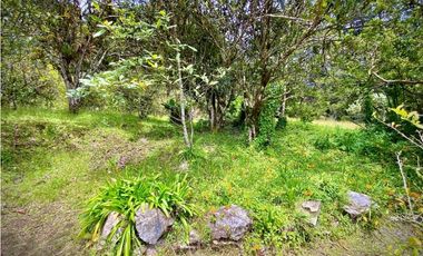 Venta Finca para Parcelar Uso Comercial Ubicacion Premium El Retiro