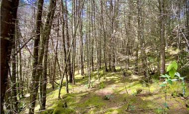 Venta Finca para Parcelar Uso Comercial Ubicacion Premium El Retiro