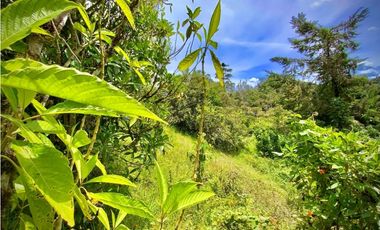 Venta Finca para Parcelar Uso Comercial Ubicacion Premium El Retiro