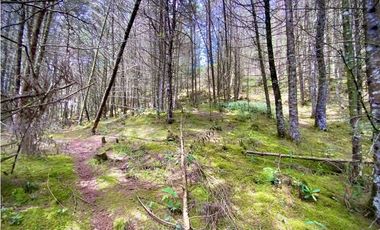 Venta Finca para Parcelar Uso Comercial Ubicacion Premium El Retiro