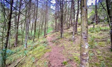 Venta Finca para Parcelar Uso Comercial Ubicacion Premium El Retiro