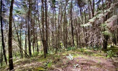 Venta Finca para Parcelar Uso Comercial Ubicacion Premium El Retiro