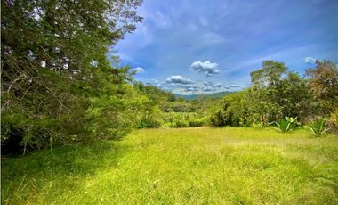 Venta Finca para Parcelar Uso Comercial Ubicacion Premium El Retiro