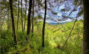 Venta Finca para Parcelar Uso Comercial Ubicacion Premium El Retiro