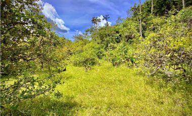 Venta Finca para Parcelar Uso Comercial Ubicacion Premium El Retiro