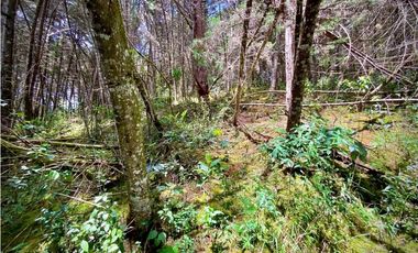 Venta Finca para Parcelar Uso Comercial Ubicacion Premium El Retiro