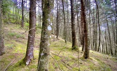 Venta Finca para Parcelar Uso Comercial Ubicacion Premium El Retiro