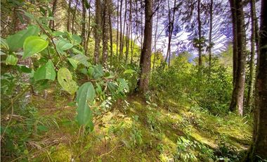 Venta Finca para Parcelar Uso Comercial Ubicacion Premium El Retiro