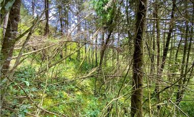 Venta Finca para Parcelar Uso Comercial Ubicacion Premium El Retiro