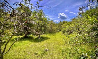 Venta Finca para Parcelar Uso Comercial Ubicacion Premium El Retiro