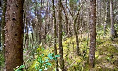 Venta Finca para Parcelar Uso Comercial Ubicacion Premium El Retiro