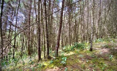 Venta Finca para Parcelar Uso Comercial Ubicacion Premium El Retiro