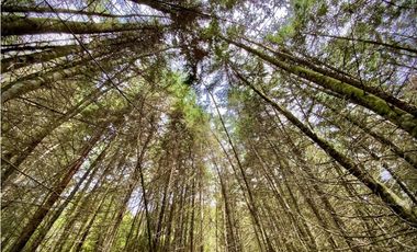 Venta Finca para Parcelar Uso Comercial Ubicacion Premium El Retiro